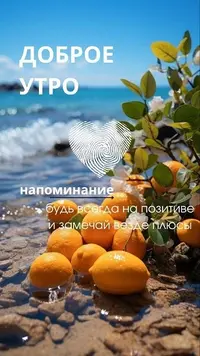 4_650.webp
