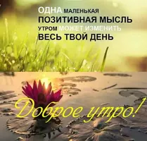 559A0A19-902B-444E-94DC-A7832709E2EF.webp