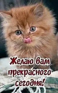 IMG_3834.webp