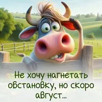 40726-WA0002.webp