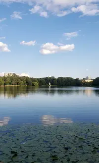 20240727_215042.webp