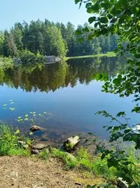 IMG_20240727_195256_324.webp