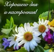C61415FD-D348-4CF3-86B6-712985EE0501.webp