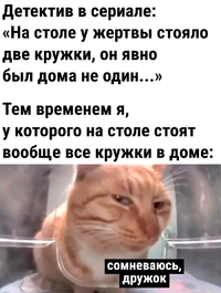 1722005865228976897.webp
