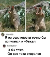 19_614.webp