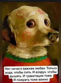 IMG_20240728_224038.webp