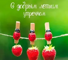 7CA90ED5-6286-4285-BD3A-1782EFBF4F9B.webp
