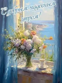 455_615.webp