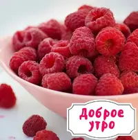 B5E9B40C-5962-4029-81CC-F1046B025687.webp