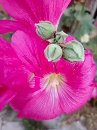 imgonline-com-ua-Resize-VtKLBLTGrP8.webp