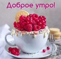 96E78745-3981-4D3E-93C3-7CD9977CF153.webp