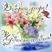 4625_086.webp