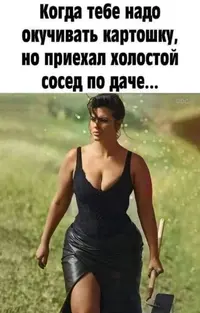 472143837.webp