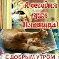 587CCF6C-68AF-4319-8299-D6FFB6EE4F91.webp