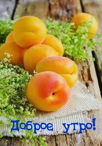 49_129.webp