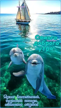 eab7a167112706bb693714ed88627a84.webp