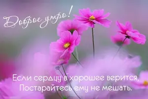4_162.webp
