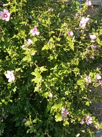 imgonline-com-ua-Resize-8XHg0PkDgHABW3e.webp