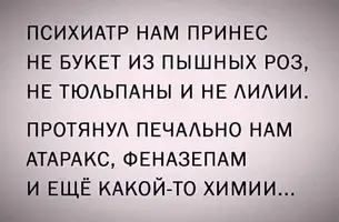 46046464.webp