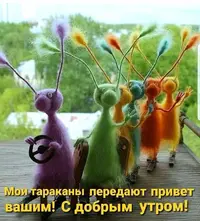 IMG_3927.webp