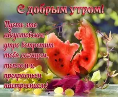 45F04788-8D8F-4E9B-8FE0-D351E78D7FAD.webp