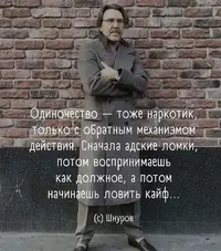 454288805_1008175227984786_6040358969463979444_n.webp.webp