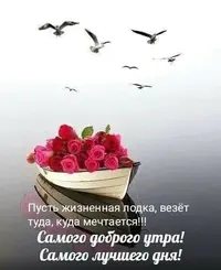 IMG_3975.webp
