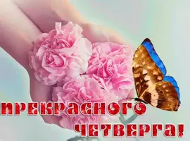 FFAC5184-3B4C-46B5-B064-BE0678A28915.webp