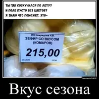 4-17763707.webp
