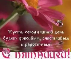 844281F2-1F99-4F52-9B30-0C75AE243388.webp