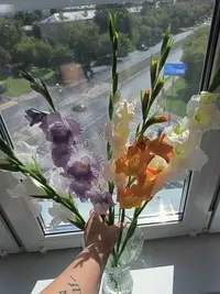 20240809132313.webp
