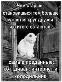 IMG_20240809_161129_167.webp