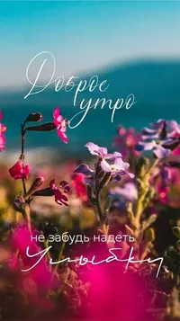 47_382.webp