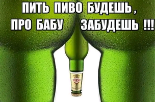 1723535547998.webp