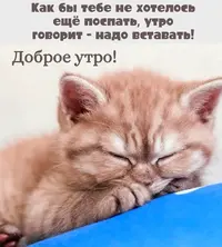 68826463-2C07-4AB0-8CD8-10F30DBF8CD1.webp