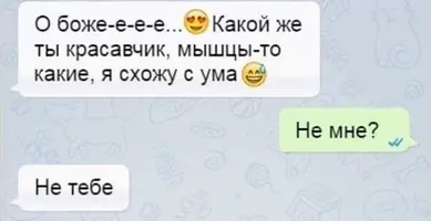43_856.webp