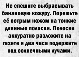 IMG_1660.webp