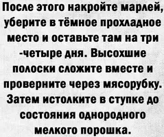 IMG_1661.webp