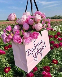 1723765267327.webp