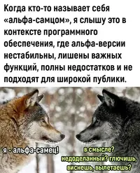 45991124.webp