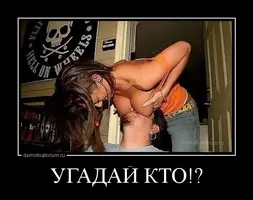 2303131954071253.webp