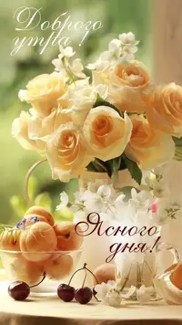 1000039746.webp
