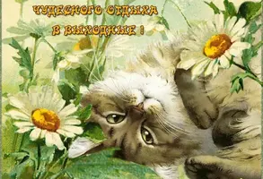 73E975A2-27A1-4D6E-83B7-8D56A74DF359.webp