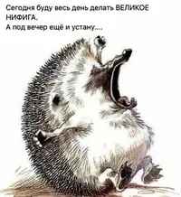 4958D1D2-6AAD-4AA0-9206-001EAF970D0E.webp