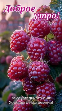 IMG_4158.webp