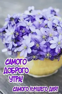 49_281.webp