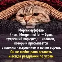 4-44189.webp