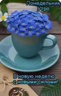 14F076A3-48C7-48C0-9CC5-295912AB4A8B.webp