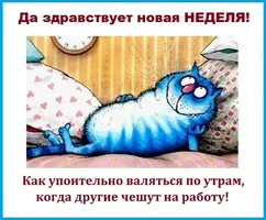 50227636_8b0000f6425a87510b111f48f94aaf18_800.webp