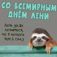 180C5EE2-A768-4E36-9F25-C20EF9B271A1.webp